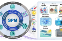 一文了解，智能聚合物微球的制备、微观结构、刺激响应特性及应用