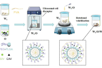 佳木斯大学张向宇团队：共载辛伐他汀和香芹酚的PEG-PLGA缓释微球，助力高脂血症治疗