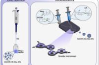 基于微流控技术连续生产聚合物纳米颗粒，用于局部雾化给药
