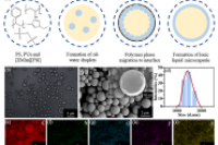 电子科技大学李飞&潘虹：高封装效率的离子液体微胶囊实现稳定硅负极