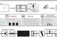 基于微铣削构建液滴微流控组件库，实现荧光细胞分选与像素阵列生成