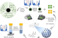 《Food Chemistry》：微流控自组装制备磁性光子晶体微球，成功用于黄曲霉毒素B1吸附