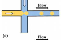 面向单细胞分析的液滴微流控技术：液滴生成、操控及生物医学应用进展