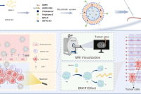 微流控制备可显影载药纳米脂质体，用于胶质母细胞瘤的硼中子俘获治疗