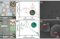 一石二鸟！北京交通大学团队研发的“光子微胶囊”，既能检测金属离子又能实现光学防伪