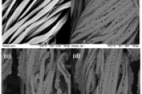 “小胶囊”蕴含大能量：生物基聚脲包裹正十八烷，助力调温织物新升级
