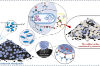 山东科技大学聂文教授团队：海藻酸钠封装抑尘水凝胶微粒——露天煤矿粉尘治理新利器