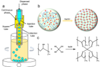 四川大学褚良银教授&巨晓洁教授：液滴微流控技术可控制备单分散聚乙烯醇栓塞微球