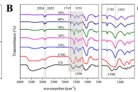 羧甲基纤维素+壳聚糖构建pH响应型O/W1/W2双乳液：生物活性因子的智能递送载体