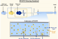 微流控技术揭秘：多糖稳定剂与聚甘油聚蓖麻油酸酯如何调控Pickering双乳液稳定性