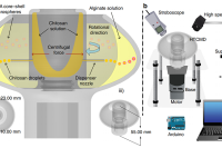 离心微流控与脉冲操作联用！一步生成用于细胞封装的发光核壳微球