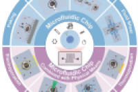 一图读懂综述：基于微流控技术的物理细胞内递送