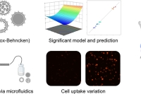 微流控芯片 + 实验设计协同构建「纳米颗粒库」，用于血液恶性肿瘤的图像引导药物递送