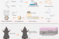 微流控制备载腺苷粘性水凝胶微球：刺激穴位激活，助力疼痛管理