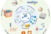 微流控工程化微凝胶：制备方法、结构设计、组装策略与生物医学应用