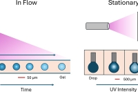 化“缺陷”为优势：利用部分交联构建功能微凝胶