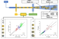 食品/制药界新突破：微流控搞定环糊精稳定多核双乳液，尺寸芯数全可控