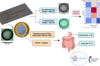 微流控生成单核和双核双乳液，用于结肠靶向给药