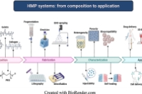 一图读懂综述：水凝胶微粒的制备、性能及其在药物递送和支架设计中的应用优势