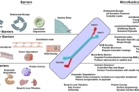 基于微流控技术制备纳米载体：突破治疗递送系统中的生物屏障