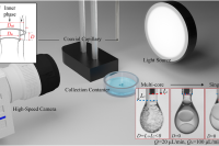 基于同轴毛细管尖端定位灵活调控复合液滴核尺寸与数量