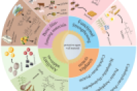 喷雾干燥益生菌微胶囊：壁材、封装技术及近十年应用