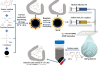 分子印迹磁性反蛋白石光子晶体微球用于谷物中赭曲霉毒素A的高效富集与分析