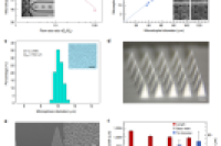 微球热键合“变”多孔微针，用于间质液高速提取及生物标志物检测