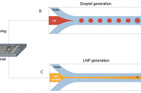 使用基于全氟聚醚的微流控芯片生成均匀液滴和脂质纳米颗粒