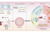 电喷雾包埋益生菌最新进展：关键影响因素、天然聚合物封装材料及技术创新