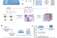 自动化并行微流控平台，用于大规模精准构建脂质纳米颗粒库
