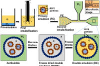 高剪切均质-T型结微流控联用：利用双乳液模板制备单分散反气泡