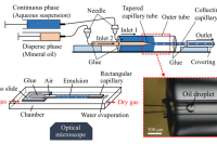 干燥诱导的水悬浮液中单分散油滴的堆积与聚并