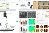 电喷雾大麻籽蛋白/油体乳液，实现富含PUFA油脂的封装与氧化稳定
