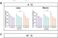 三种制备方法大比拼：谁是仿生纳米颗粒的最优选择？