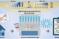 人工智能辅助自驱动重力多米诺微流控系统，实现快速居家免疫测定