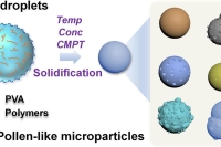 液滴微流控结合溶剂蒸发，可控制备仿生花粉状聚合物微粒