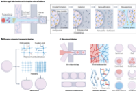 一图读懂综述：液滴微流控技术在微凝胶制备中的应用进展