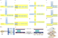 液滴微流控技术在生物医学领域的应用进展及前景展望