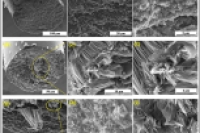 微流控湿法纺丝制备纯壳聚糖核壳纤维：从废弃生物质到高强度、可编织组织工程材料