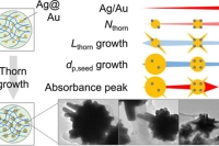 喷墨混合系统制备含金纳米颗粒壳聚糖微胶囊，实现吸收波长精准调控