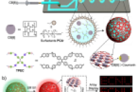 微流控技术 + 超分子主客体组装！超分子有机框架微胶囊，实现可编程能量传递