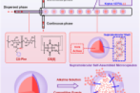 液滴微流控 + 主客体组装！构建超分子微胶囊，实现活性物质封装和刺激响应递送